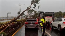 高雄澄清湖今（26）日上午發生遊客遭路樹壓死意外，不料疑因大雨持續，前鎮區也發生一輛在快車道停等紅燈的營業自小客車遭路樹砸到意外，所幸車上司機乘客均安，現場已清除完畢。（圖／翻攝畫面）