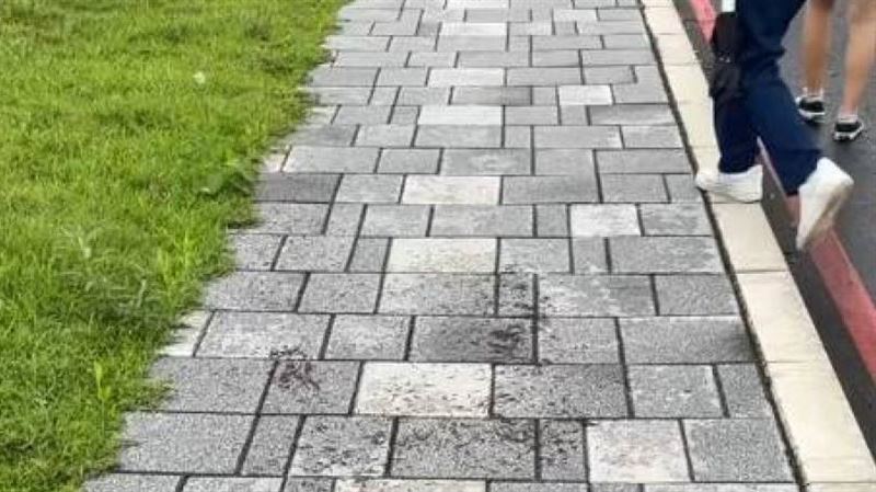 她前晚目睹2異象：地震預兆？網驚呆朝聖