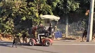 5狗包圍狂吠　老翁在代步車上嚇傻
