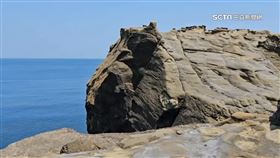 影／大玩借位攝影！象鼻岩斷成「水豚君」民眾瘋打卡