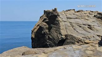 象鼻岩斷成水豚君　民眾瘋打卡玩錯位合影