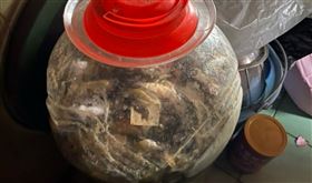 新北,新莊棒球場,酸菜,酸菜魚,秘製,