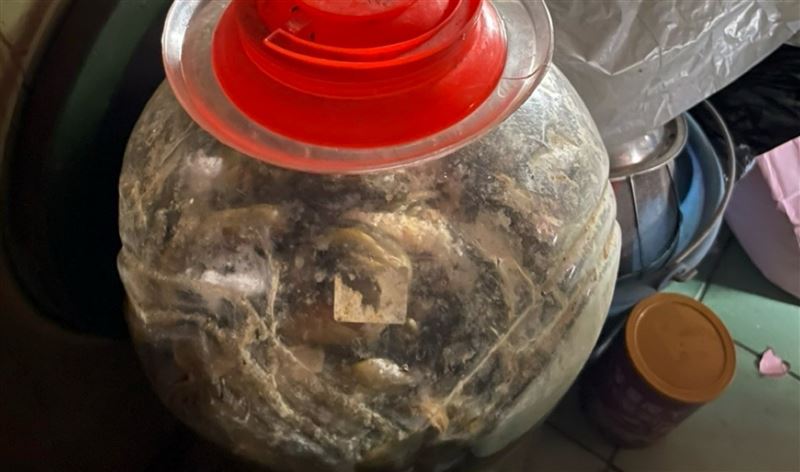 秘方酸菜整甕被偷　餐廳獨家酸菜魚恐斷供