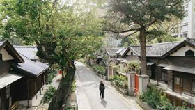 位於北市金山南路二段203巷的0km山物所，感念右方這棵百年的台灣油杉，本區得以被保留，以嶄新樣貌向大眾呈現當代風華。（圖／0km山物所提供）