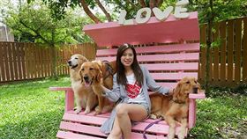 獵犬不打獵鄉林小食光，圖/痞客邦部落格「eVa's Blog-藍晴♥旅行.美食.寵物」授權提供。