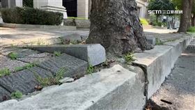 竹北東平里所得Top5！路面凹凸不平惹民怨