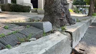 竹北東平里所得Top5！路面凹凸不平惹民怨