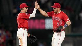 ▲楚奧特（Mike Trout）動刀治療左膝半月板。（圖／美聯社／達志影像）