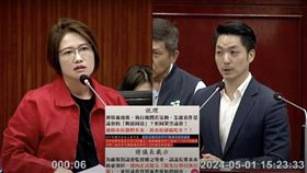 林延鳳批蔣萬安沒有送青年局的墊付案進議會審查。（圖／翻攝自議會直播）