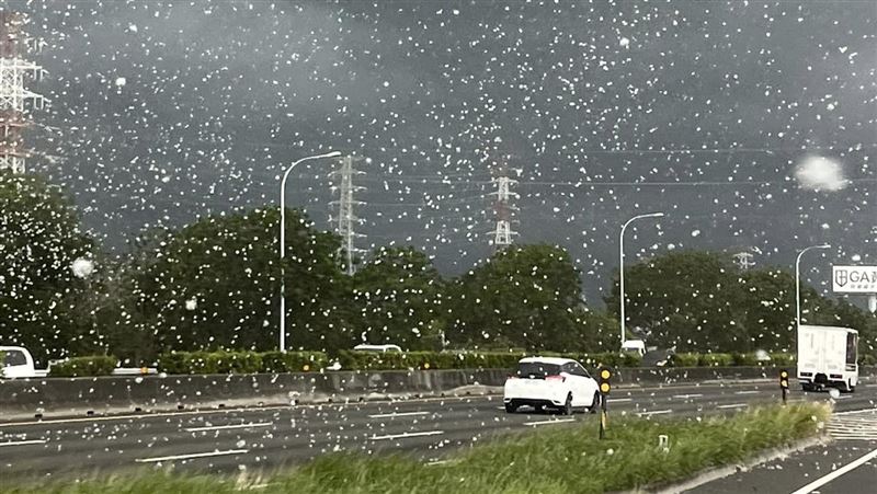 中彰地區驚見五月雪！國道警：看路別看花