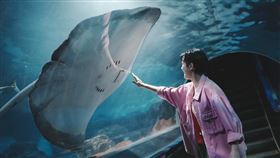 ▲花蓮遠雄海洋公園「延長休園至5／31」。（圖／翻攝自遠雄海洋公園臉書）

