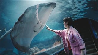 花蓮遠雄海洋公園延長休園　網暖喊：等你