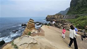 南雅奇岩。（圖／新北市漁業處提供）