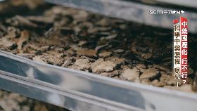 L(深一度)中藥國產化1900