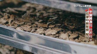 9成中藥材源於中國　僅400萬補助台人種植