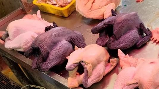 新／北市抽驗肉蛋品！7件動物用藥超標