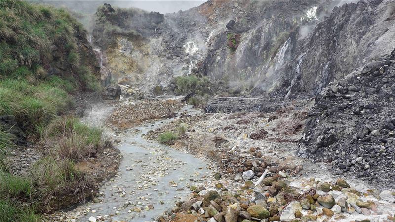 厲害！陽明山有世界新物種！可吸附重金屬