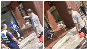 白鵝,新竹市,北大路,逛大街（圖／翻攝自《新竹人新竹事》）