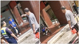 2隻白鵝逛大街　飼主怒嗆：出車禍我負責