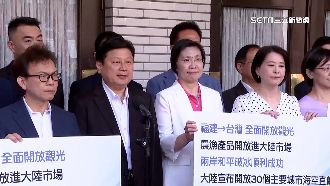 藍提案不准寫中國、我國　綠酸自貶國格