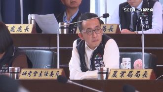 徐巧芯反對政黨網軍　夫遭爆昔是捧朱網軍