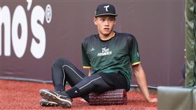 ▲台鋼雄鷹黃劼希。（圖／台鋼雄鷹提供）