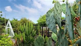 （圖／翻攝自「肉肉栽培研究所。多肉植物生態園區」臉書）