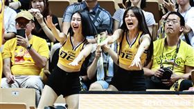 ▲T1季後賽，PS女孩儀諪、小安籃下干擾對手罰球。（圖／記者劉彥池攝影）