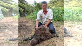 退休警成屠夫1／自稱為農民除害！退休警年捕百山豬　地主怒：寧可給豬吃（名家－CTWANT）