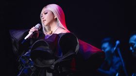 張惠妹（圖／聲動娛樂提供）