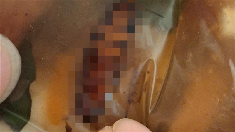 羹湯漂大蟑螂！顧客喊噁：老闆整鍋繼續賣
