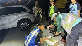 海蟾蜍入侵鳥嘴潭人工湖  1夜抓萬隻幼體具毒性入侵物種海蟾蜍出沒南投縣草屯鎮鳥嘴潭人工湖，經濟部水利署中區水資源分署組織志工隊移除，近期累積抓到逾3萬隻幼體，甚至1夜抓破萬隻，塑膠箱裡密密麻麻。（民眾提供）中央社記者蕭博陽南投縣傳真  113年5月5日