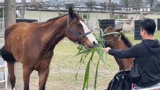 獨／花蓮逾10家觀光農場　無動物展演許可