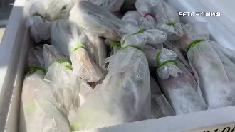 捐血500c.c.送2隻龍蝦　民眾挽袖熱捐