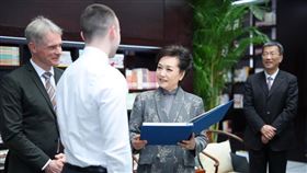 彭麗媛。（圖／翻攝自新華網）