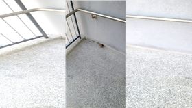 有民眾在樓梯轉角發現一坨角落生物，仔細一看竟是夜鷹。（圖／翻攝路上觀察學院）