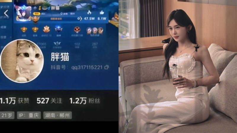 21歲胖貓輕生　208萬女星發聲被嗆蹭熱度