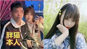 胖貓,譚竹,訂婚,出軌,八大妹,跳河,T女,輕生