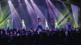 ▲《WILD WILD》。（圖／寬宏藝術）