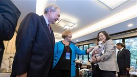 蔡總統見亞堅會訪團（2）總統蔡英文（前右）6日在寓所接見「亞太堅韌研究基金會訪團」，愛犬「樂樂」現身。（總統府提供）中央社記者葉素萍傳真  113年5月6日