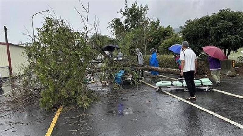 彰化郵差遭路樹砸死　同事列隊送最後一程