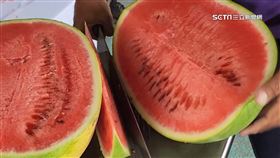 強震過後雪上加霜！花蓮西瓜農遭盤商剝削