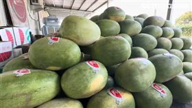 花蓮震後西瓜銷量慘！爆盤商還「砍價5成↑」連成本都嘸　瓜農PO網自救（圖／記者呂彥攝影）