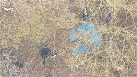 日本栃木縣驚傳「十字焦屍」命案，在東京上野一帶頗具名望的餐飲大佬「寶島夫妻」，疑遭未過門女婿買兇殺害。（圖／翻攝照片）