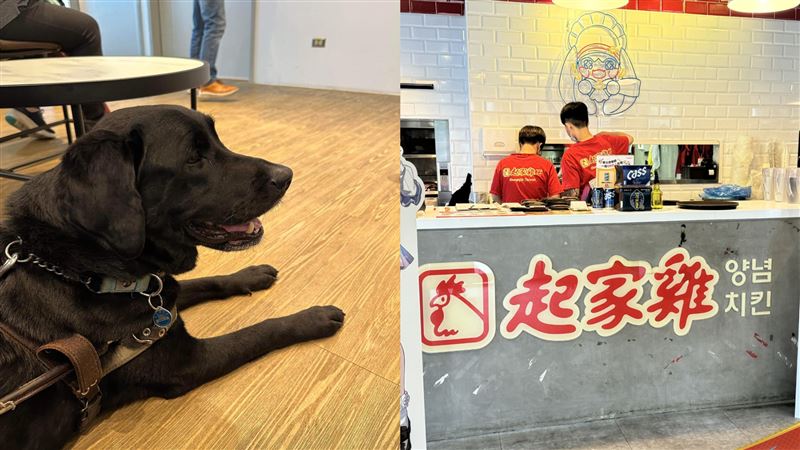 帶導盲犬入店用餐被拒！起家雞認錯道歉了