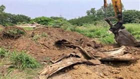 養豬場回填掩埋之營建廢棄物。（圖／台南地檢署提供）