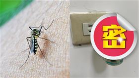 半夜被蚊子吵到超崩潰！她推「1神器」秒滅蚊（圖／翻攝自pixabay、「我愛全聯-好物老實説」臉書）