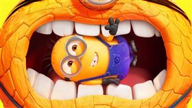 《神偷奶爸4》。（圖／UIP提供）