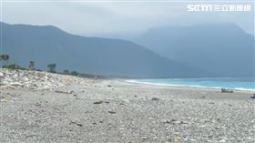 大量水針被砍頭畫面曝！亂丟花蓮七星潭「蒼蠅滿天飛」　環保局回應了（圖／記者呂彥攝影）