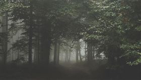 森林，陰森，靈異（示意圖／翻攝自Pixabay）
